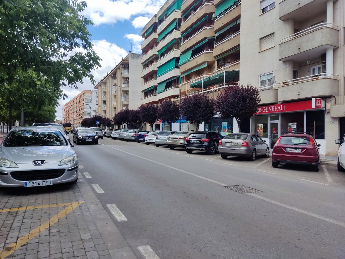 Vox pide habilitar aparcamientos para residentes en la avenida de la Paz 