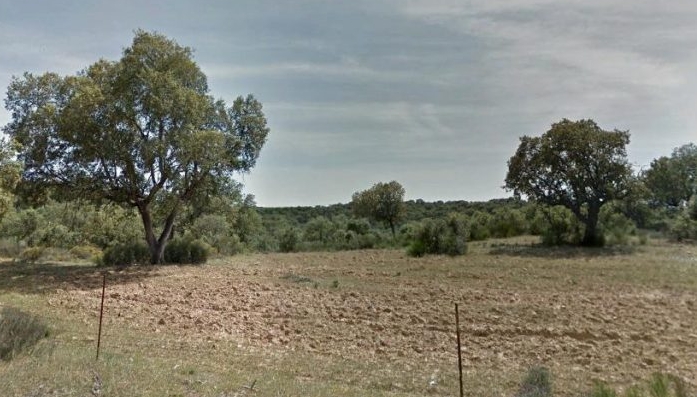 Apag Extremadura Asaja exige al Ministerio  que  otorgue la ayudas agrarias por sequía extrema y no leve