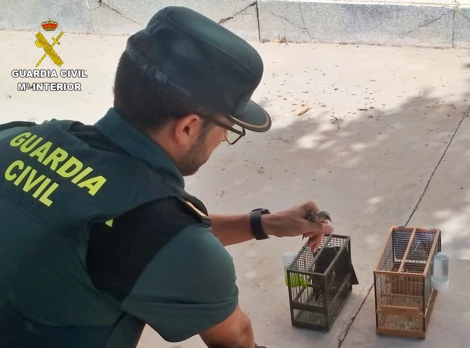 La Guardia Civil sorprende a un vecino de Arroyo de San Serván cazando ilegalmente