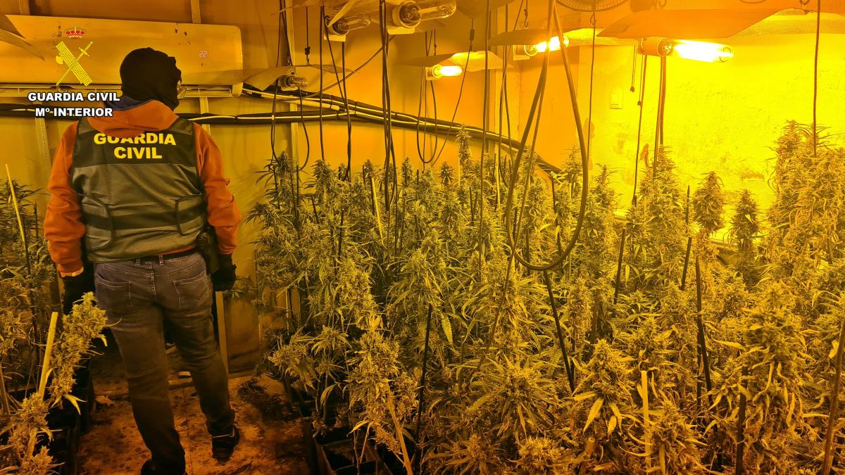 La Guardia Civil desmantela dos plantaciones de marihuana en una vivienda de Alange