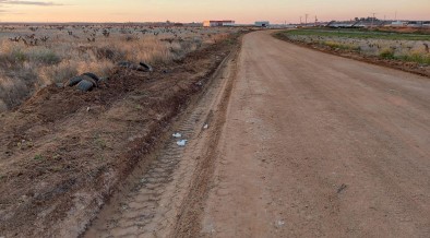 Adenex pide que se planten árboles en los bordes de los caminos