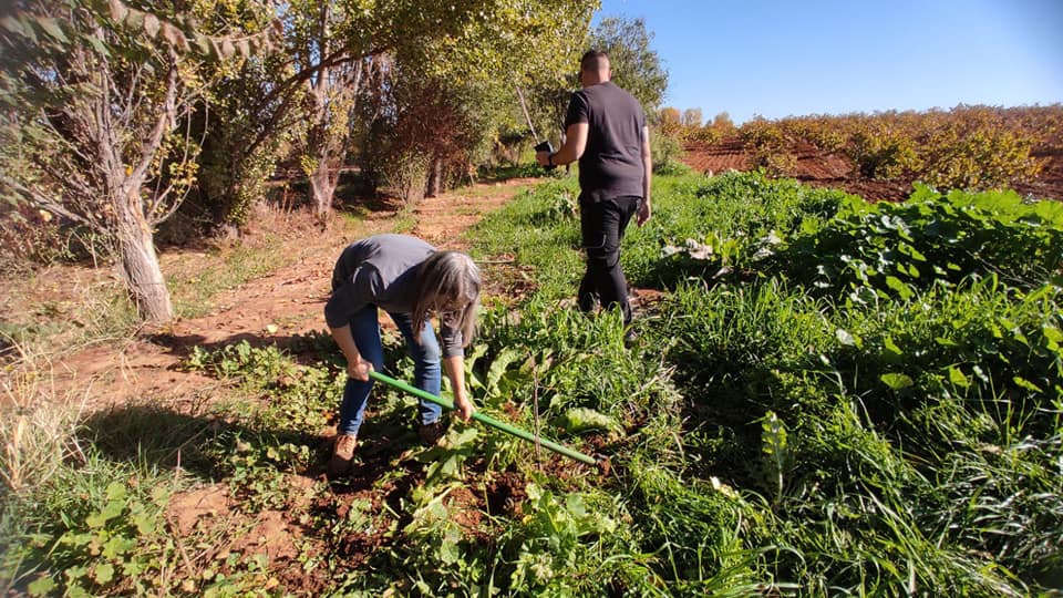 En septiembre habrá una reunión para establecer cómo continuar con las plantaciones