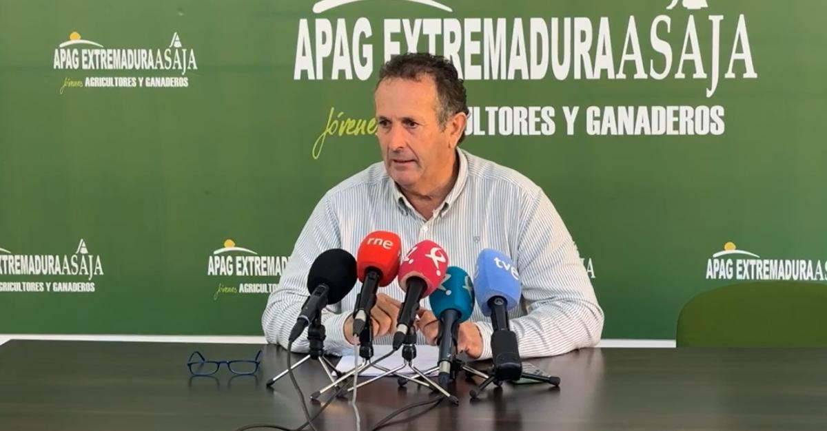 Apag Extremadura Asaja pide a las almazaras y cooperativas adaptar el precio del aceite