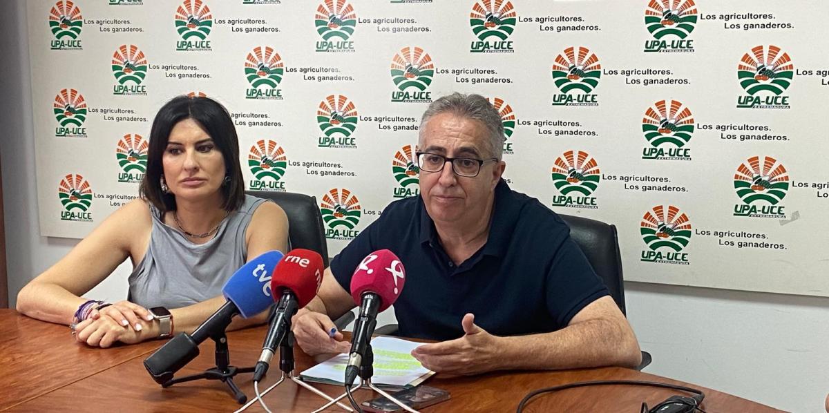 UPA-UCE pide a las cooperativas que no vendan aceite de oliva por debajo de costes