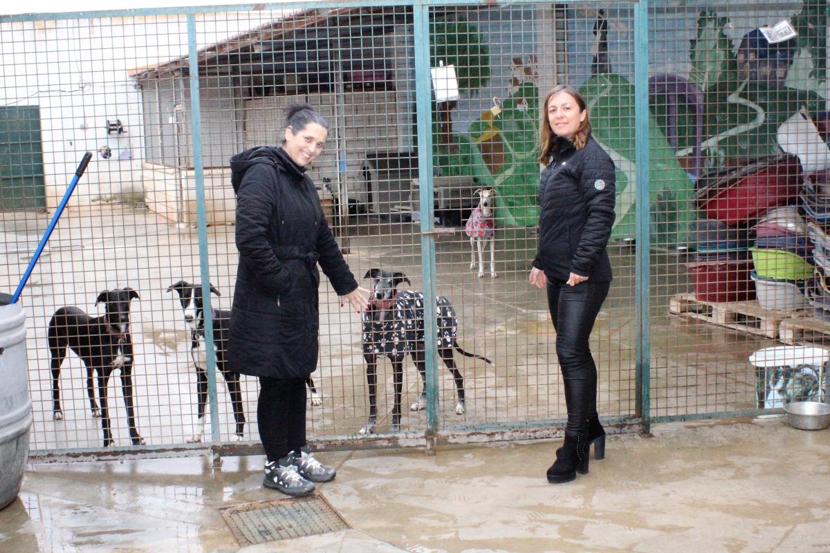 La delegada de protección animal indica que algunos animales que se abandonan no son de Almendralejo 