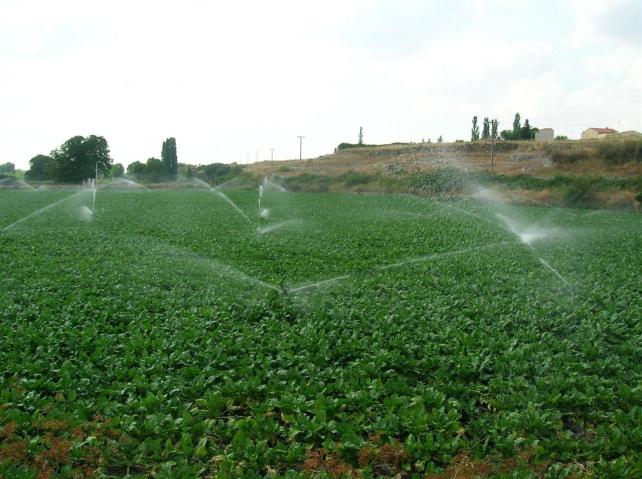 La Plataforma contra la Contaminación considera que el regadío es inviable