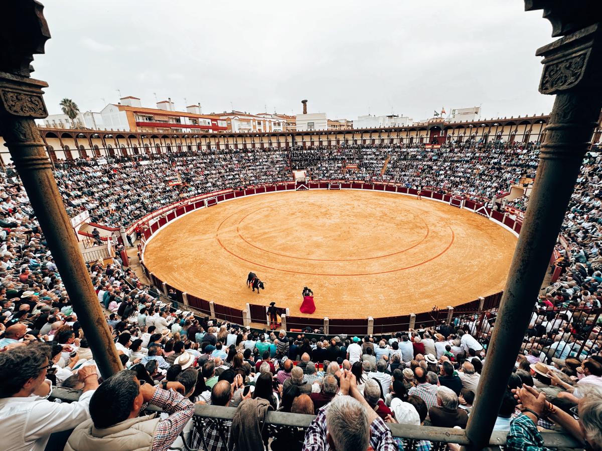 Una corrida de toros y un festejo de rejones, en Iberovinac