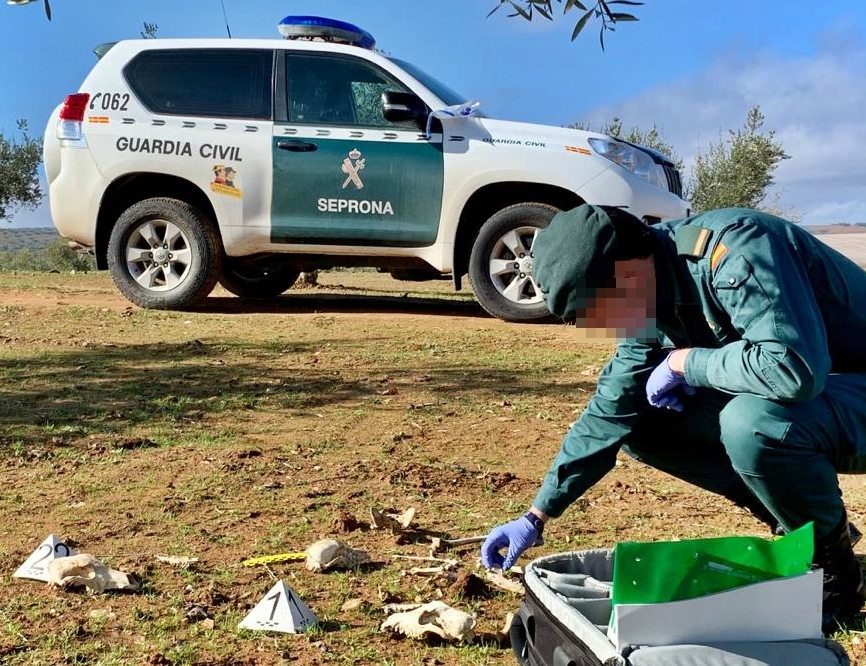 Investigan a doce personas de Tierra de Barros por delitos de maltrato animal