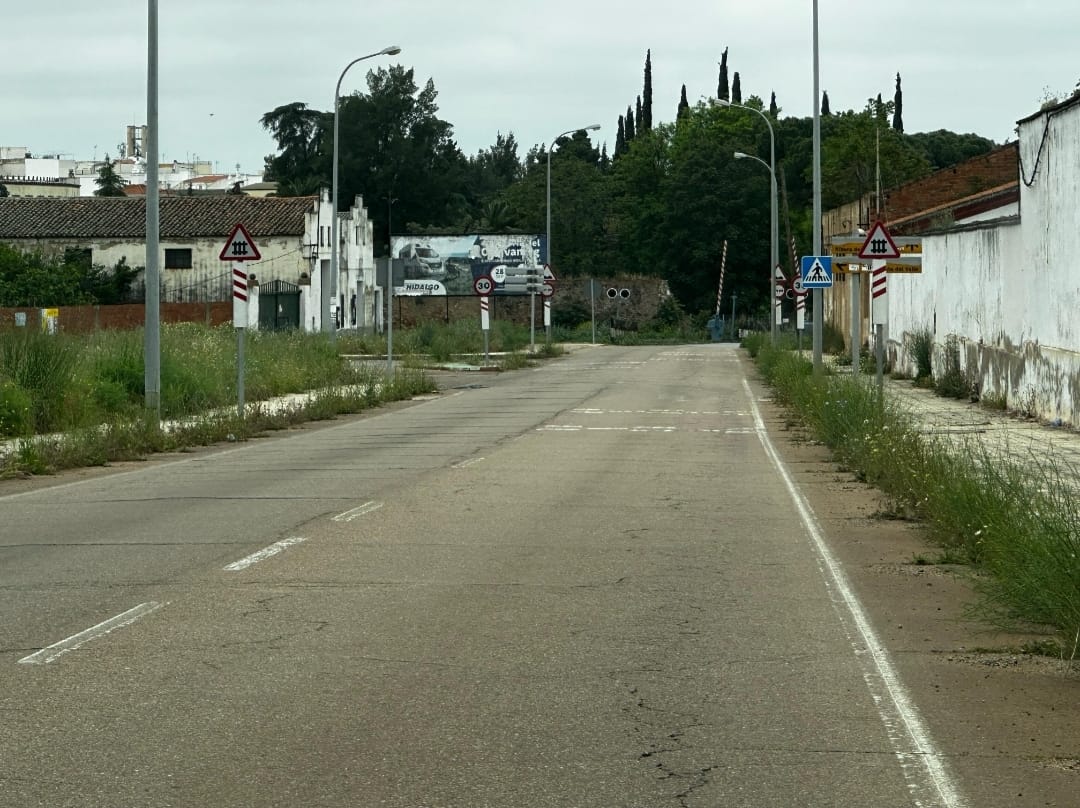 Vox pide una 