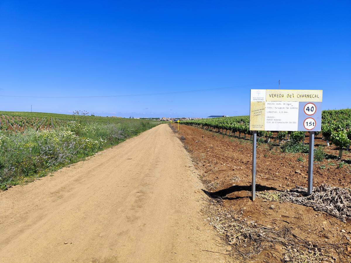 El Gobierno local plantea ampliar la inversión en arreglo de caminos con remanente