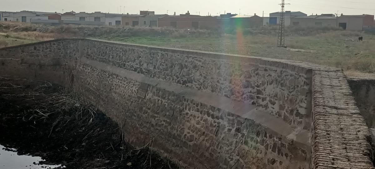 Adenex organiza una jornada de recogida de 'basuraleza' en la alberca vieja