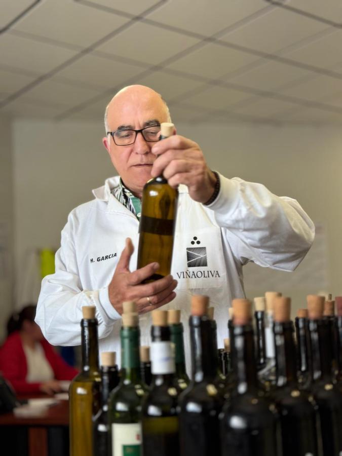 Zaleo tinto, mejor vino joven en su categoría en los premios Baco Cosecha