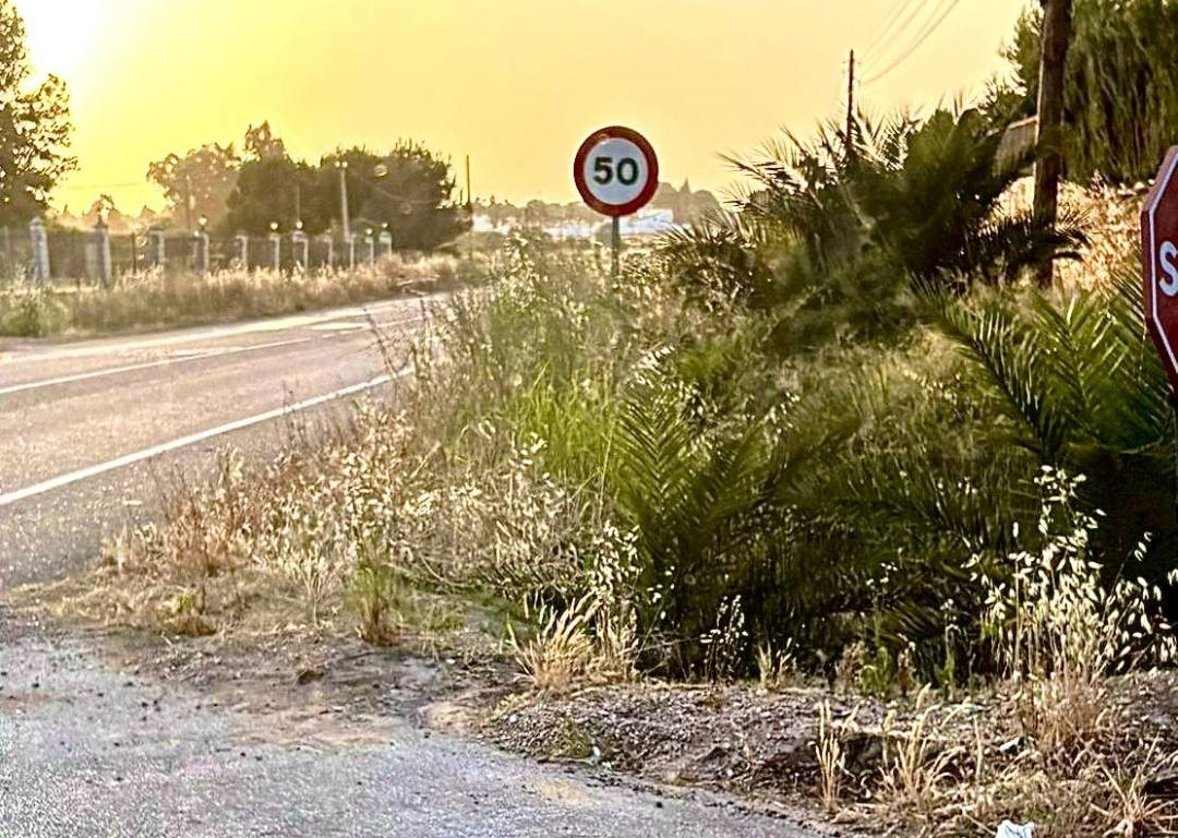 VOX denuncia el estado de abandono de las cunetas de San Marcos y  Cantalgallo