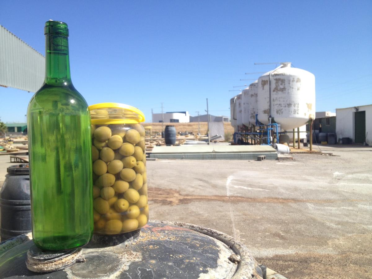 Destinan 23 millones de euros para el sector del vino y la sanidad animal y vegetal