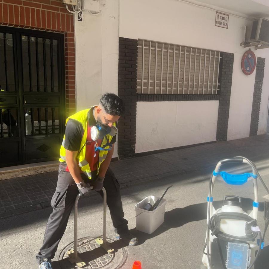 El Ayuntamiento inicia un plan de fumigación intensiva de cucarachas