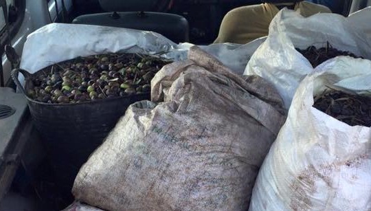El esclarecimiento de robos en el campo se eleva del 30 al 51 por ciento