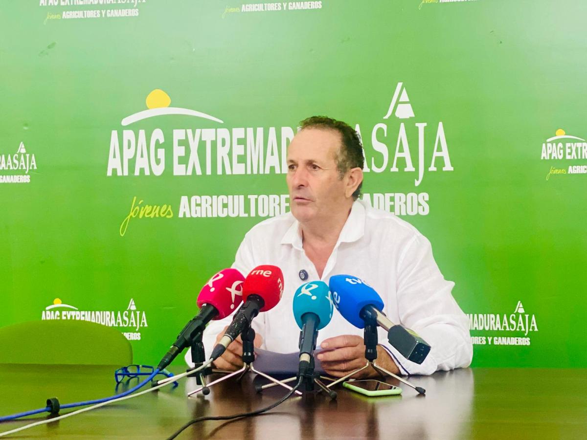 Apag Extremadura Asaja pide que se controlen los puestos de compra de aceitunas
