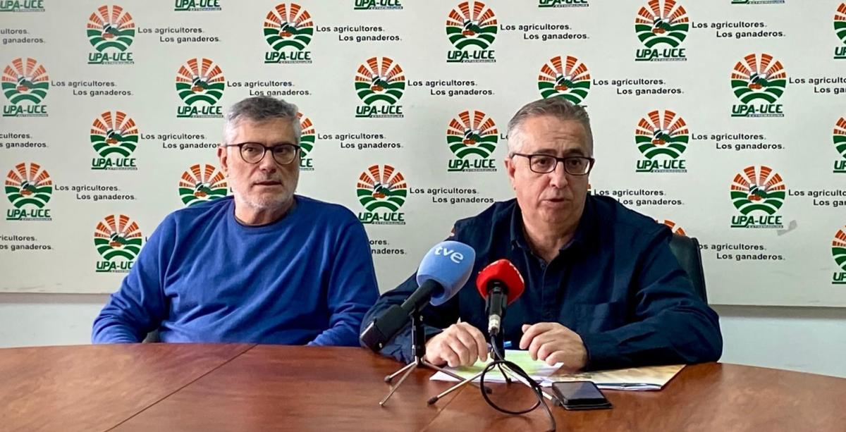 UPA-UCE denuncia una bajada de producción y precios en el olivar