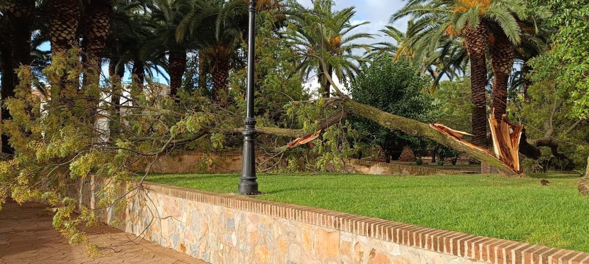 La tromba de agua deja calles cortadas, locales anegados y parques cerrados