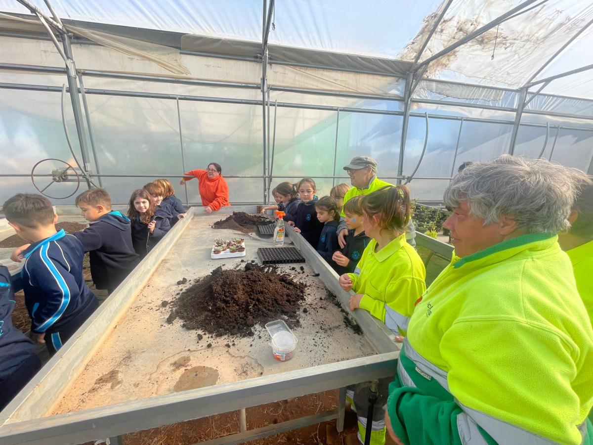 Escolares de los centros educativos conocen de cerca las actividades de Includes