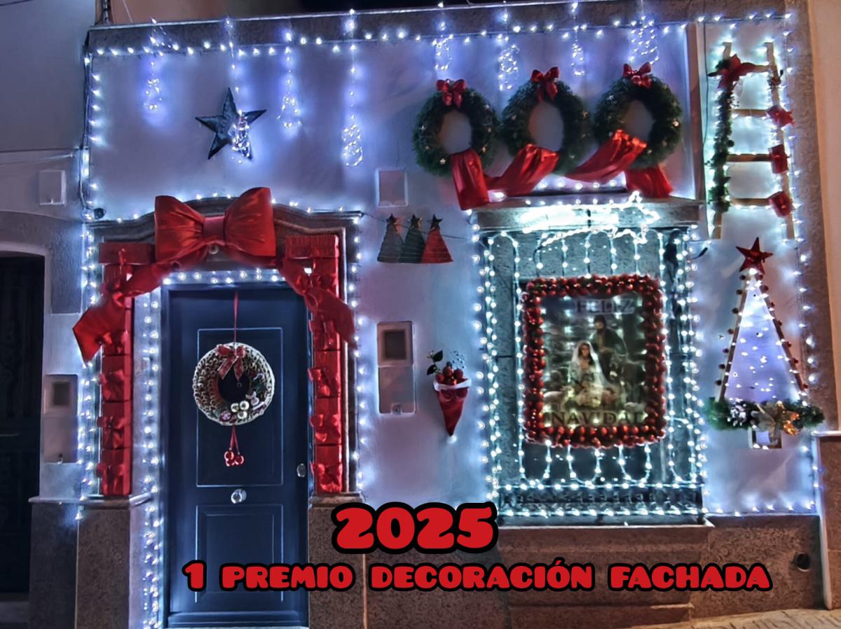 La calle Velázquez se lleva el premio a la mejor decoración navideña