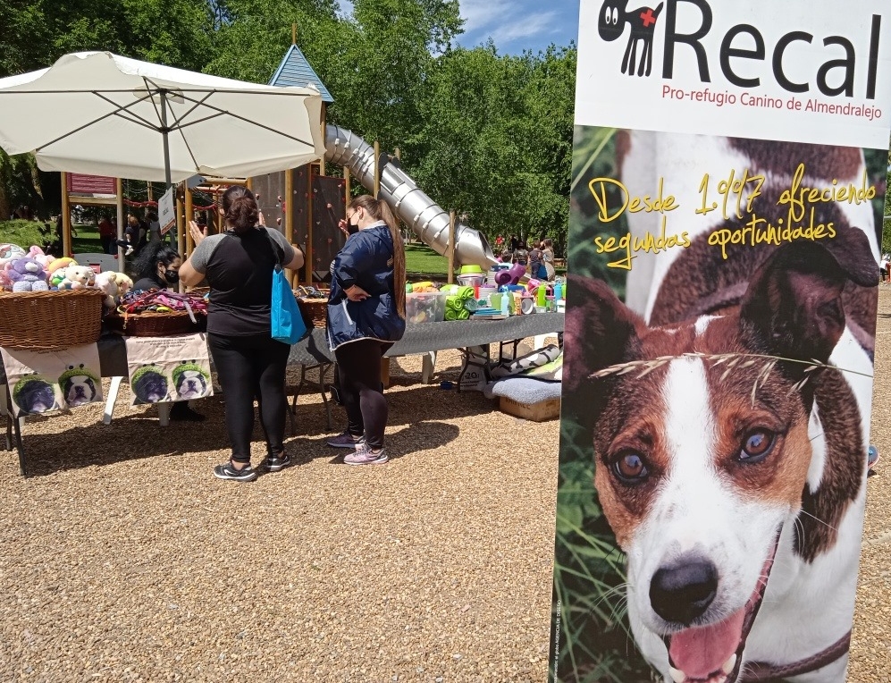 El centro de protección animal trabaja en mejorar las condiciones de las colonias felinas