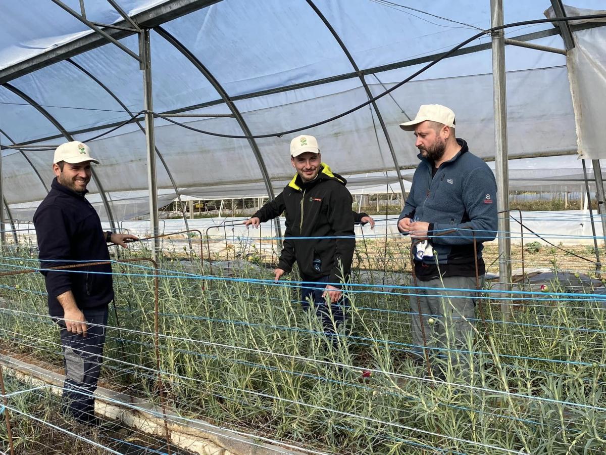 UPA-UCE acogerá a cinco jóvenes agricultores del Programa Cultiva