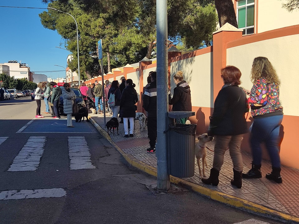San Antón reunirá a las mascotas en la parroquia de San Roque  