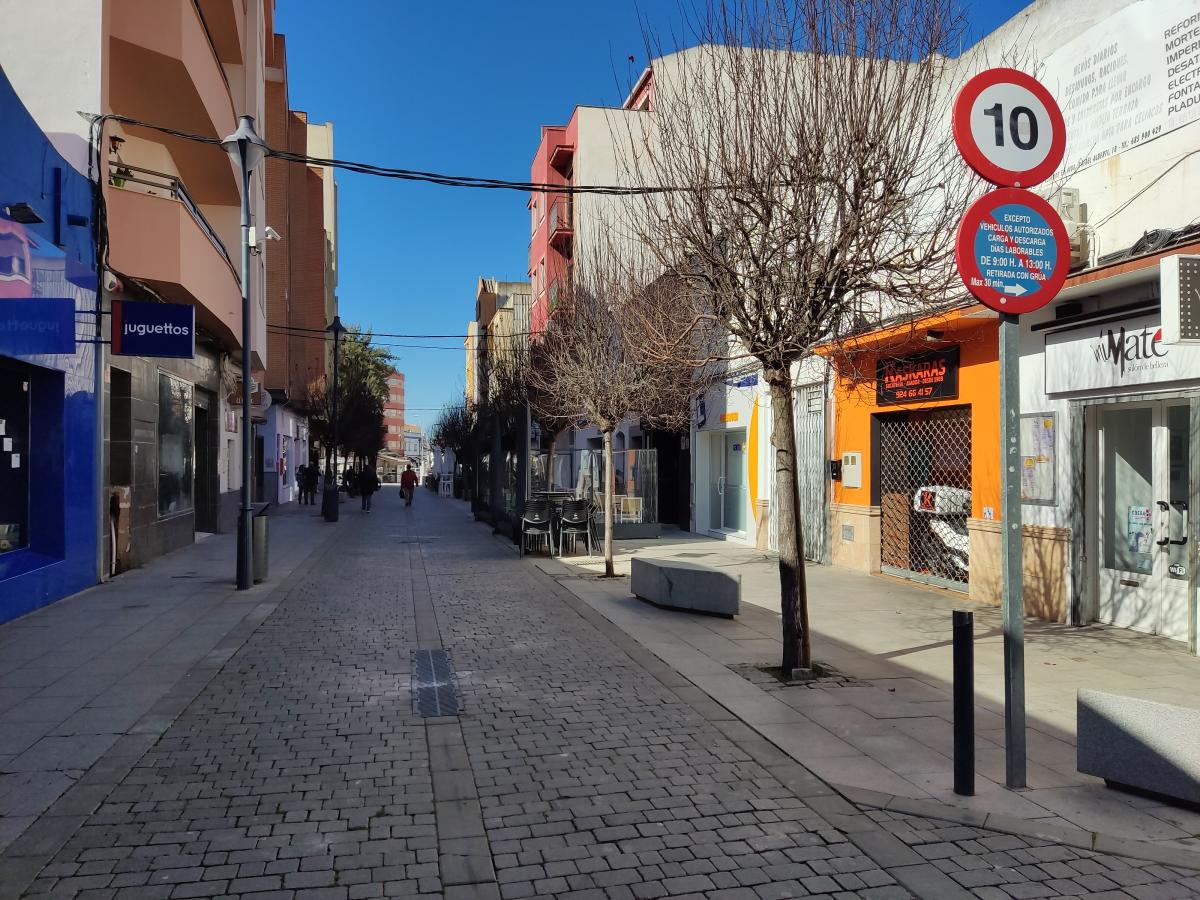 El Ayuntamiento repondrá los árboles retirados a causa del temporal