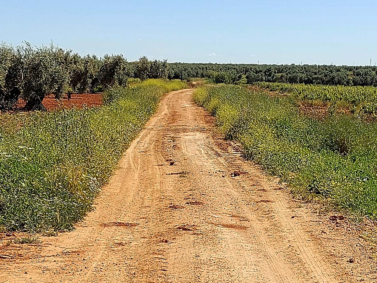 El gobierno local se reunirá con los agricultores para establecer mejoras en caminos