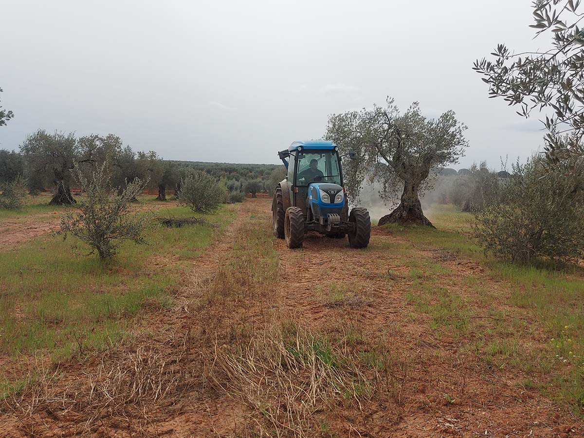 La CLYGAL afirma que las decisiones del Gobierno en el marco de la guerra cargan contra el campo
