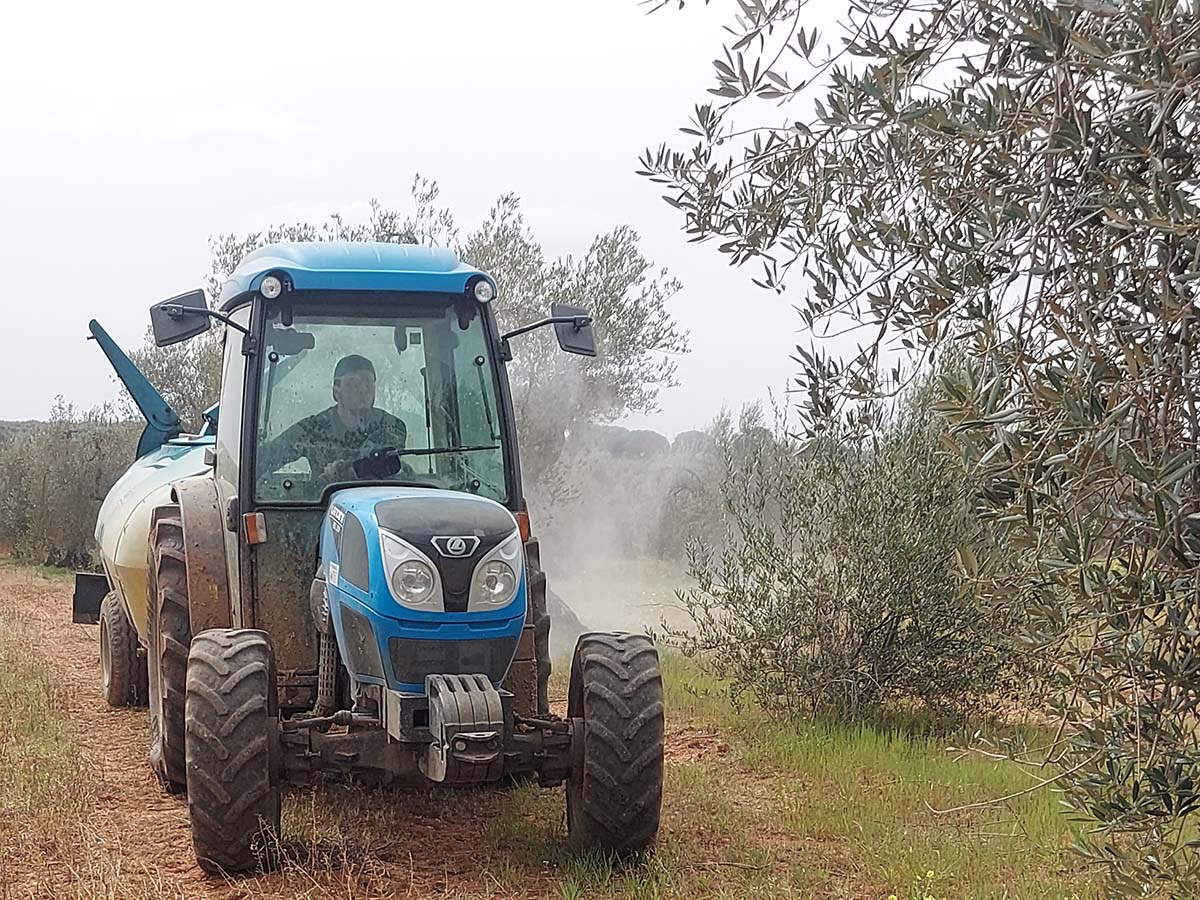 La CLYGAL dice que las medidas del Gobierno son 
