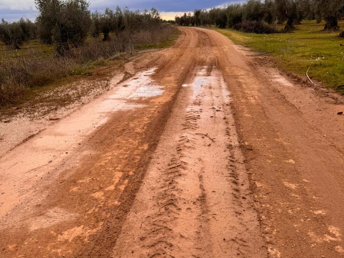 Licitado un primer contrato para el arreglo y mantenimiento de caminos