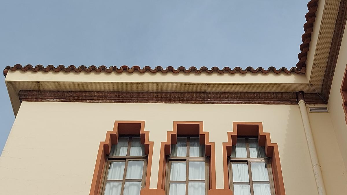 Adenex denuncia la destrucción de los nidos en la fachada de la escuela de idiomas