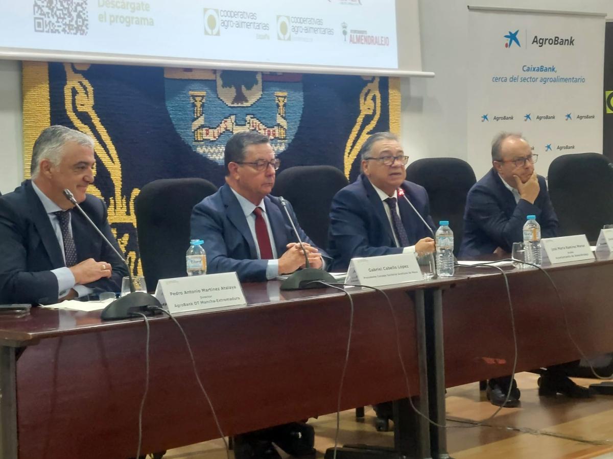 El sector cooperativo de la aceituna analiza en Almendralejo la apertura a nuevos mercados