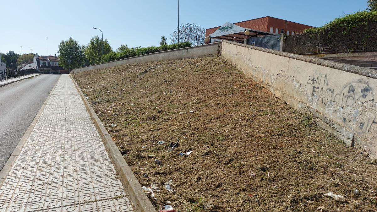 Adenex realiza una serie de sugerencias al bando municipal de limpieza de parcelas