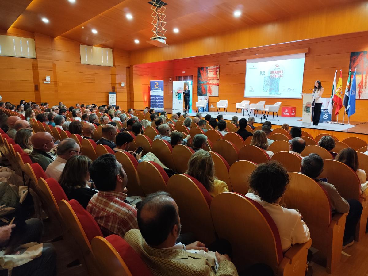 148 municipios se han integrado en el organismo ‘Restaura’ de legalidad urbanística