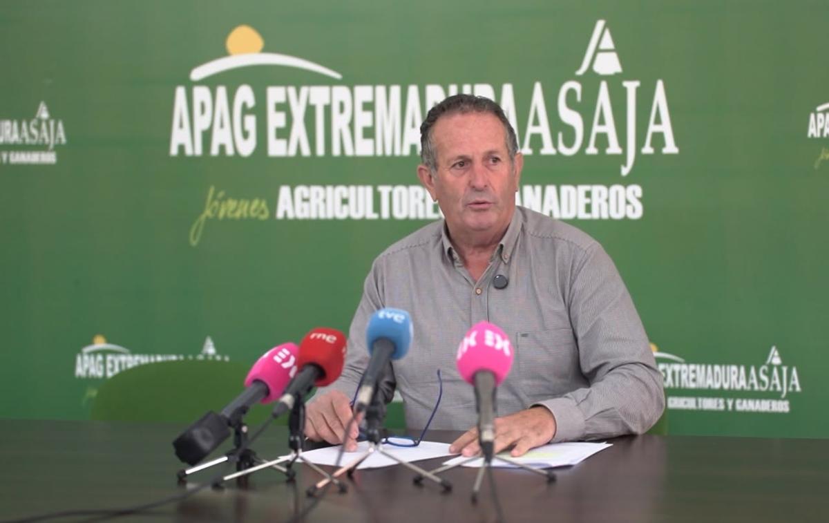 Apag Extremadura Asaja llama a la cautela con los datos en la próxima campaña del aceite 