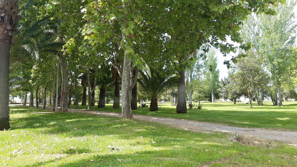 Adenex traslada al Ayuntamiento propuestas para el Plan de Igualdad desde una perspectiva medioambiental
