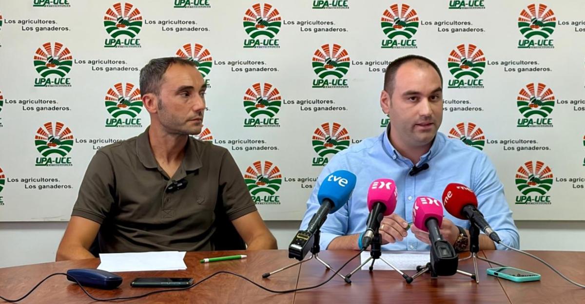 UPA-UCE reclama garantías para los productores de uva con contratos que cubran costes