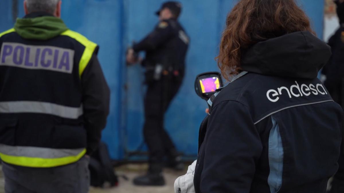 Endesa abre cinco expedientes de fraude al día en la provincia de Badajoz