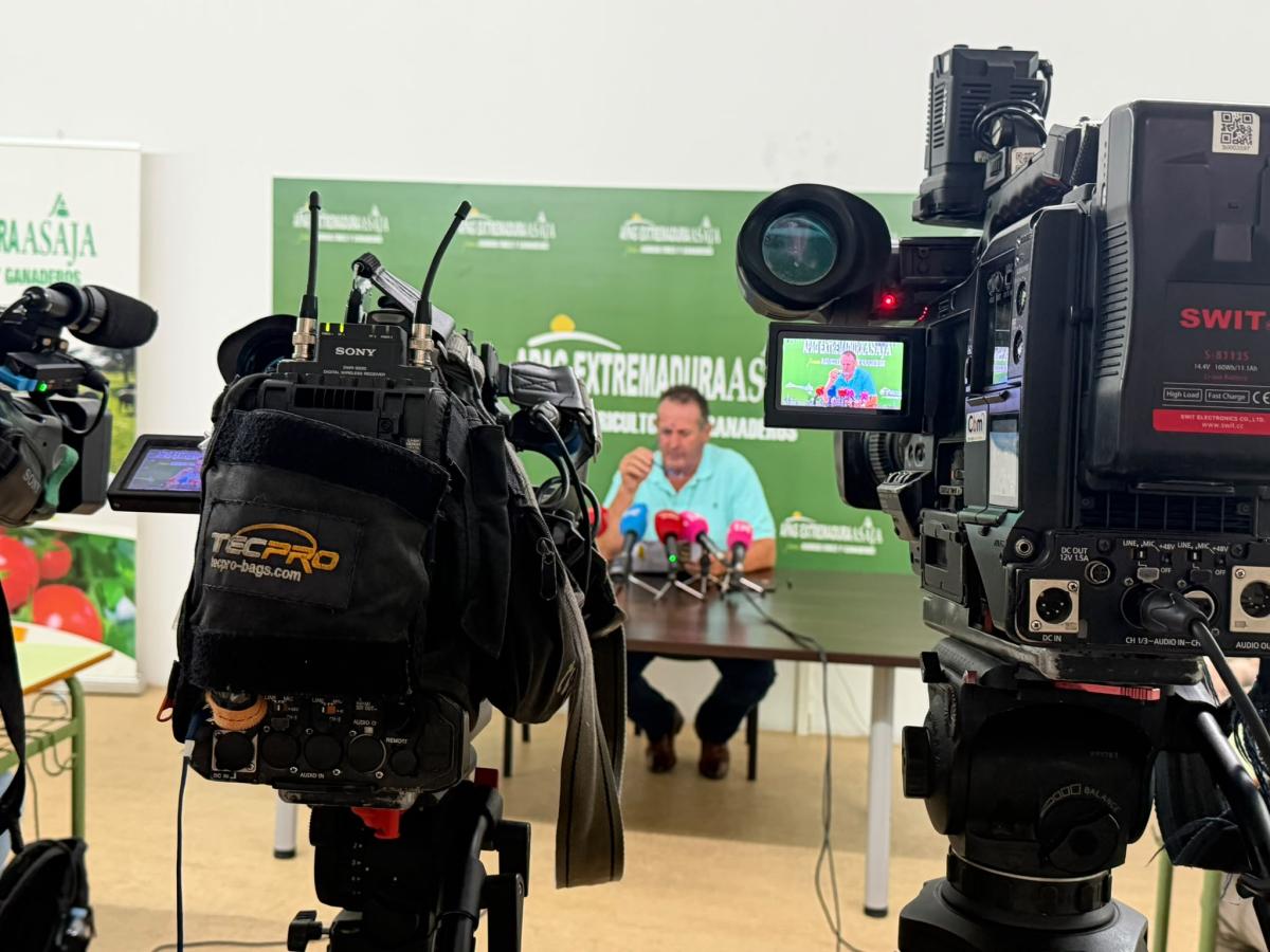 Apag Extremadura Asaja exige a las administraciones que frenen la especulación en el aceite de oliva