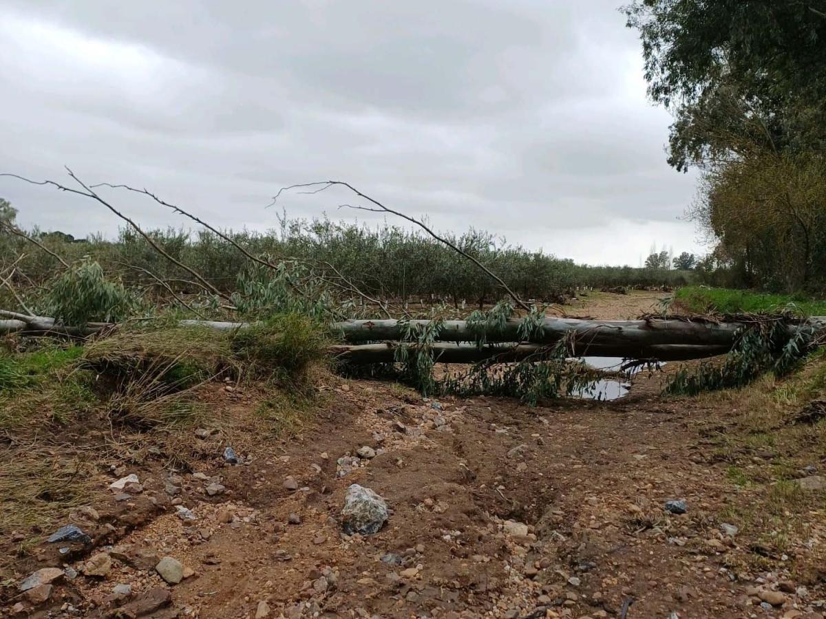 La CLYGAL urge al Gobierno el pago de las indemnizaciones por las tormentas de invierno 