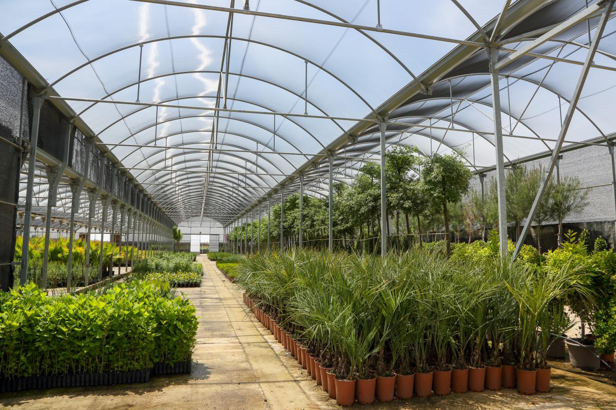 La Diputación abre el plazo para que los municipios soliciten plantas gratuitas para sus zonas verdes