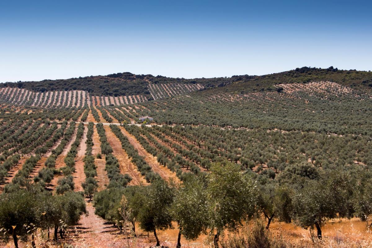 La Unión Extremadura pide medidas urgentes para paliar la sequía que padece la región