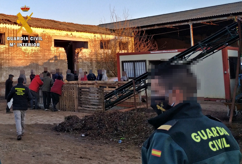 La Guardia Civil intensifica el control en puntos de recepción de aceitunas y explotaciones agrícolas