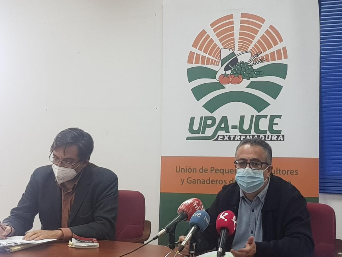 UPA-UCE pide a la Junta que clarifique las condiciones de trabajo en el campo tras la nulidad del convenio 