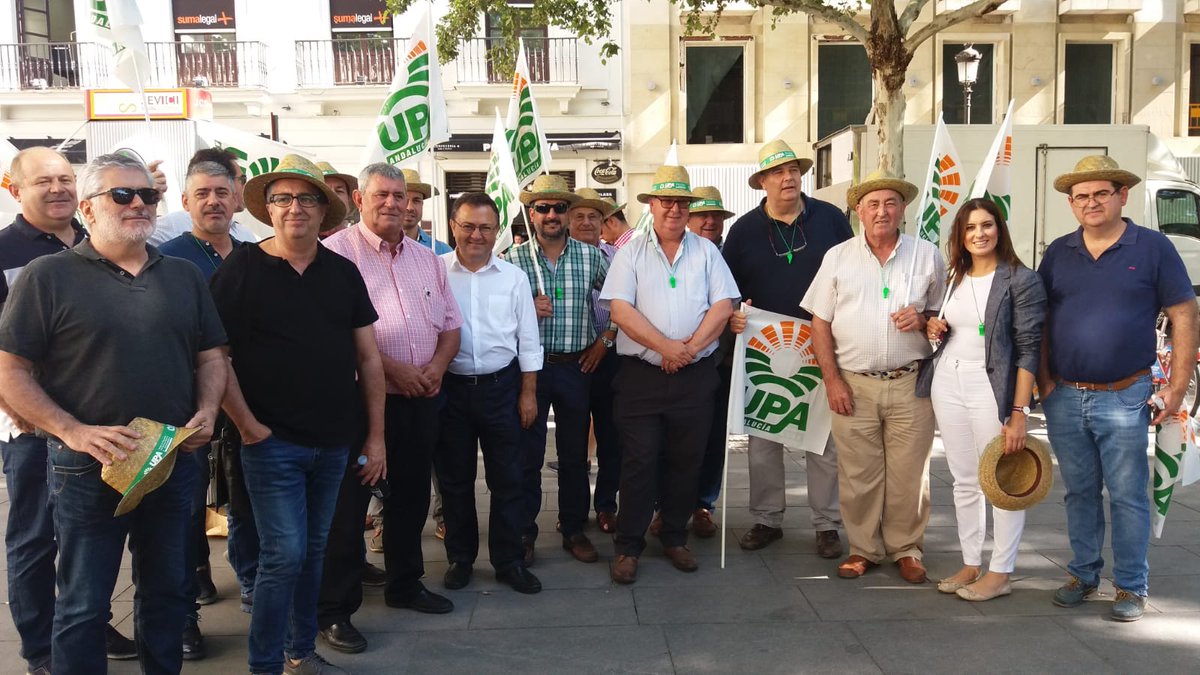 Olivareros extremeños exigen la retirada de los aranceles a la aceituna de mesa