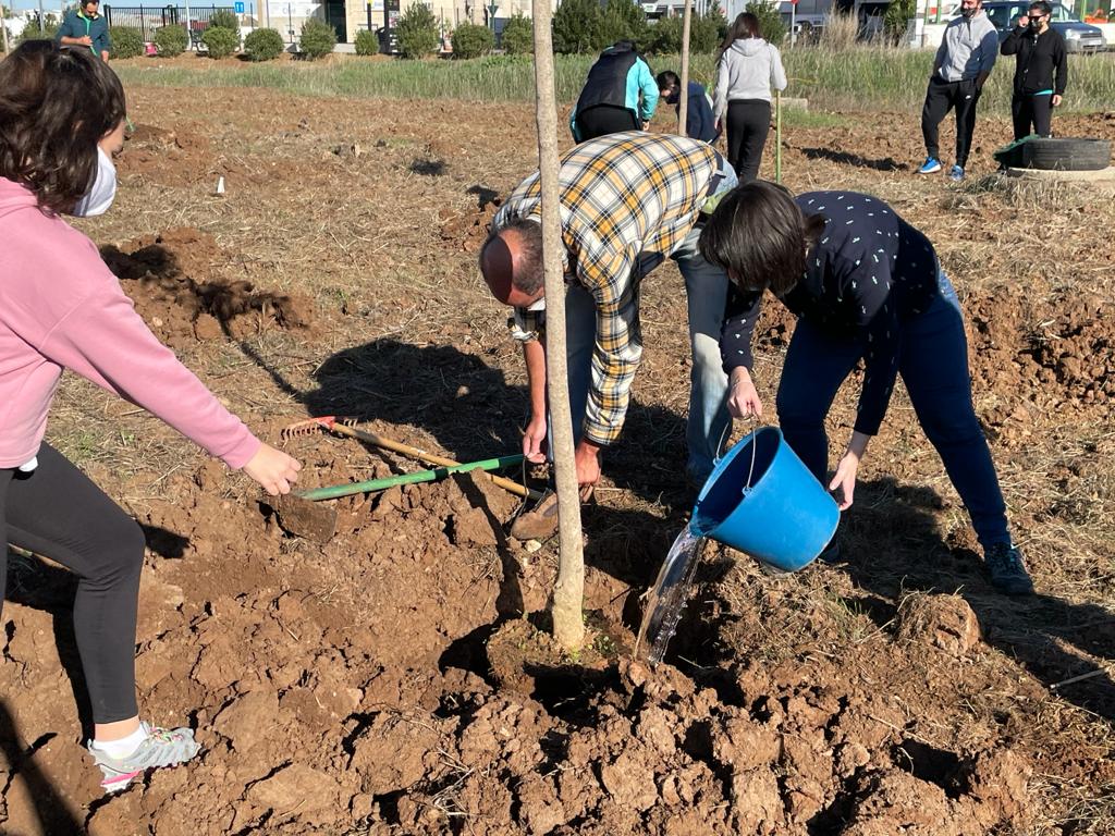 La creación del anillo verde continuará el 5 de diciembre con nuevas plantaciones