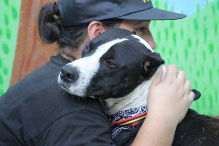 La Concejala de Parques y Jardines pide que la gente denuncie en comisaría los envenenamientos de mascotas